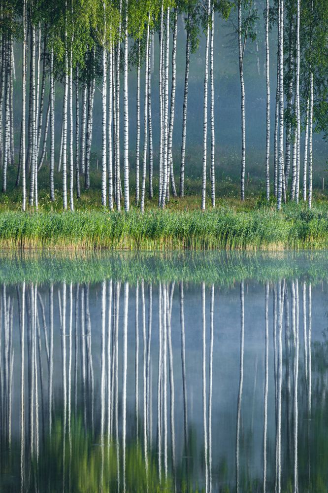 Photograph by Valdis Serzhans