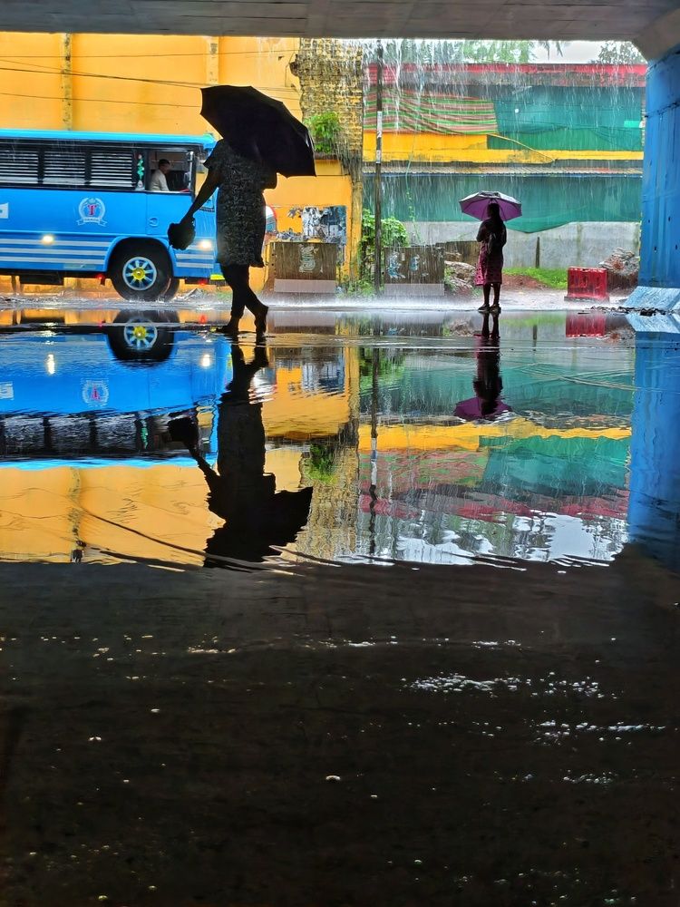 Photograph by Sreejith EK