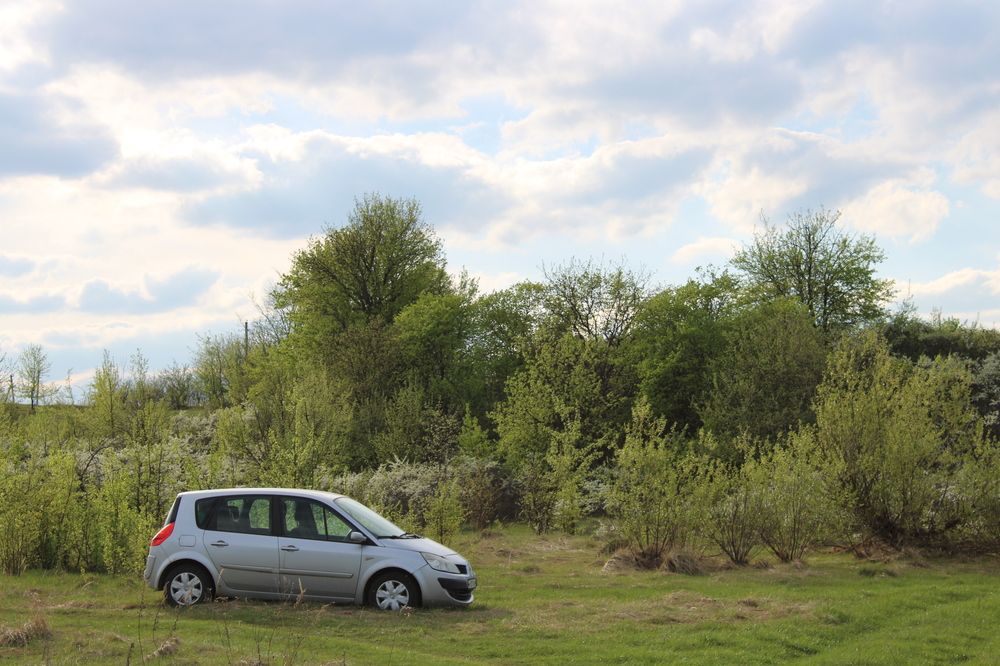 Photograph by Елена Коробченко