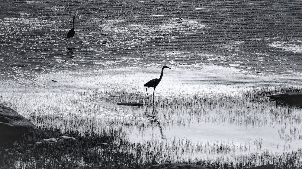Water is light sinking into the earth
