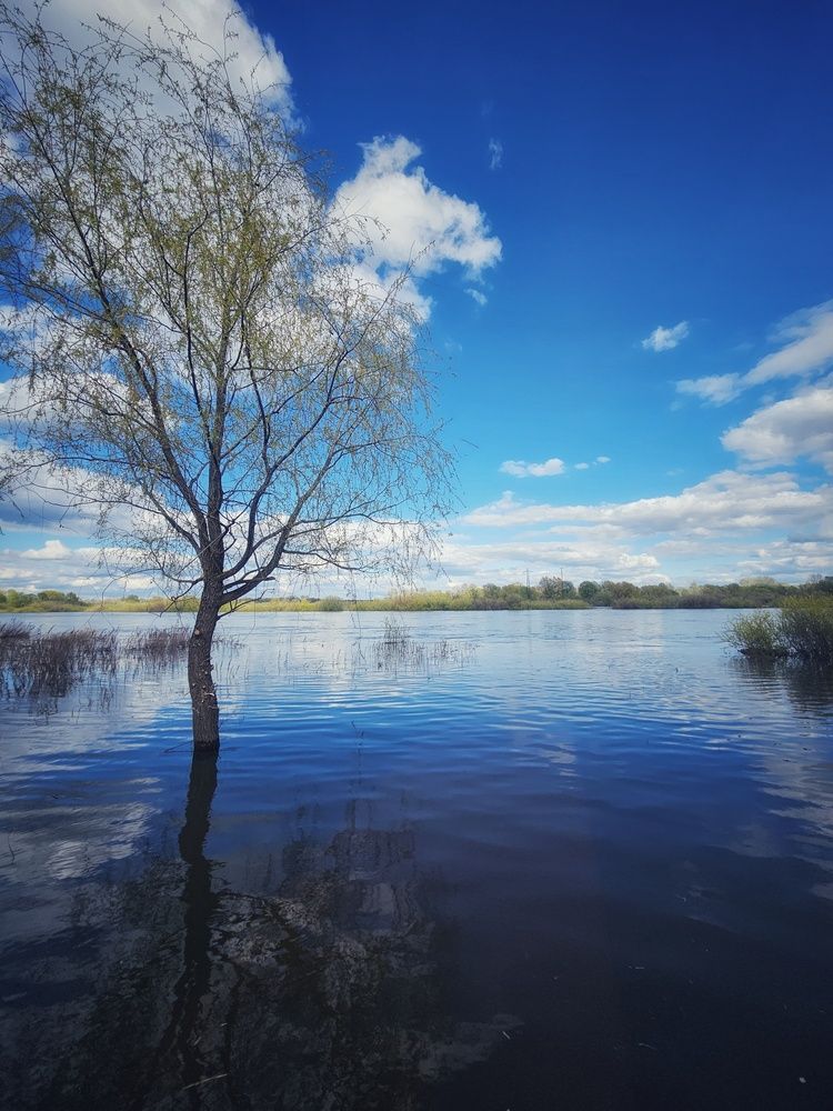 Photograph by Наталья Светлова
