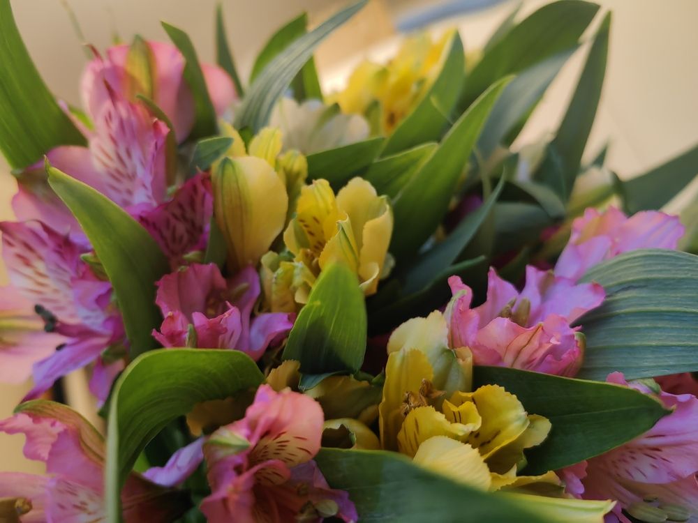 Photograph by Наталья Сергеевна Крылова