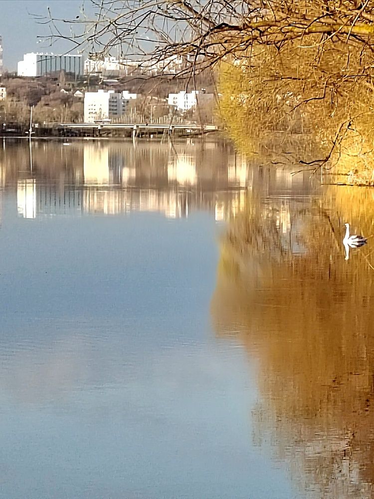 Photograph by Куделенко Оксана