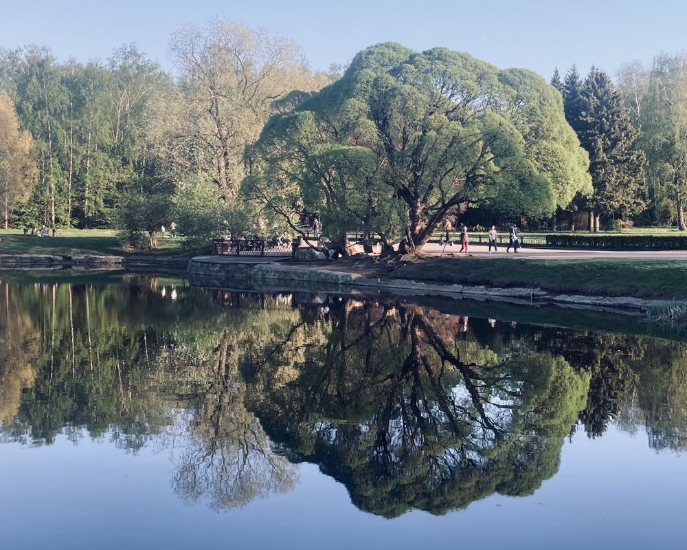 Фотография автора Сергей Демидов