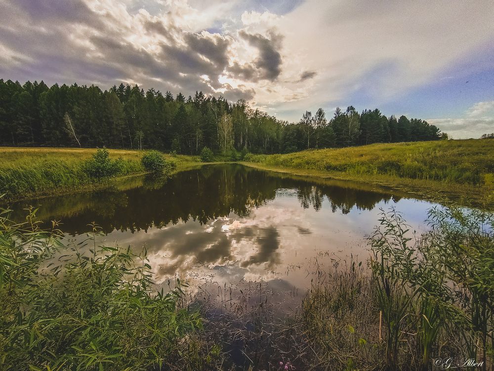 Photograph by Альберт Габбасов