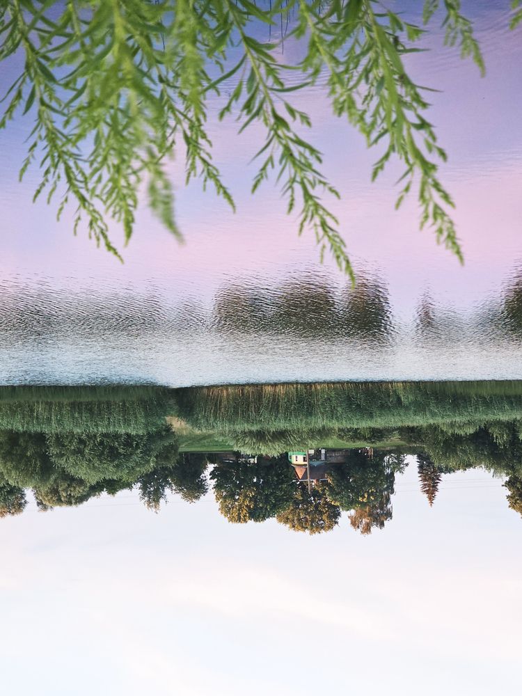 Фотография автора Ольга Шишук