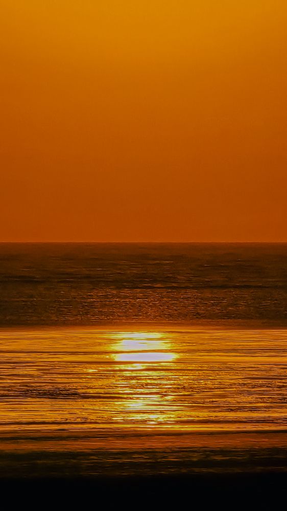 Photograph by Dhruv Mistry