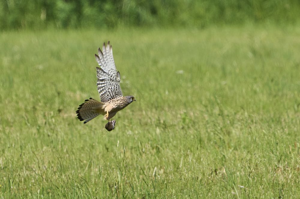 Photograph by Puum Mati