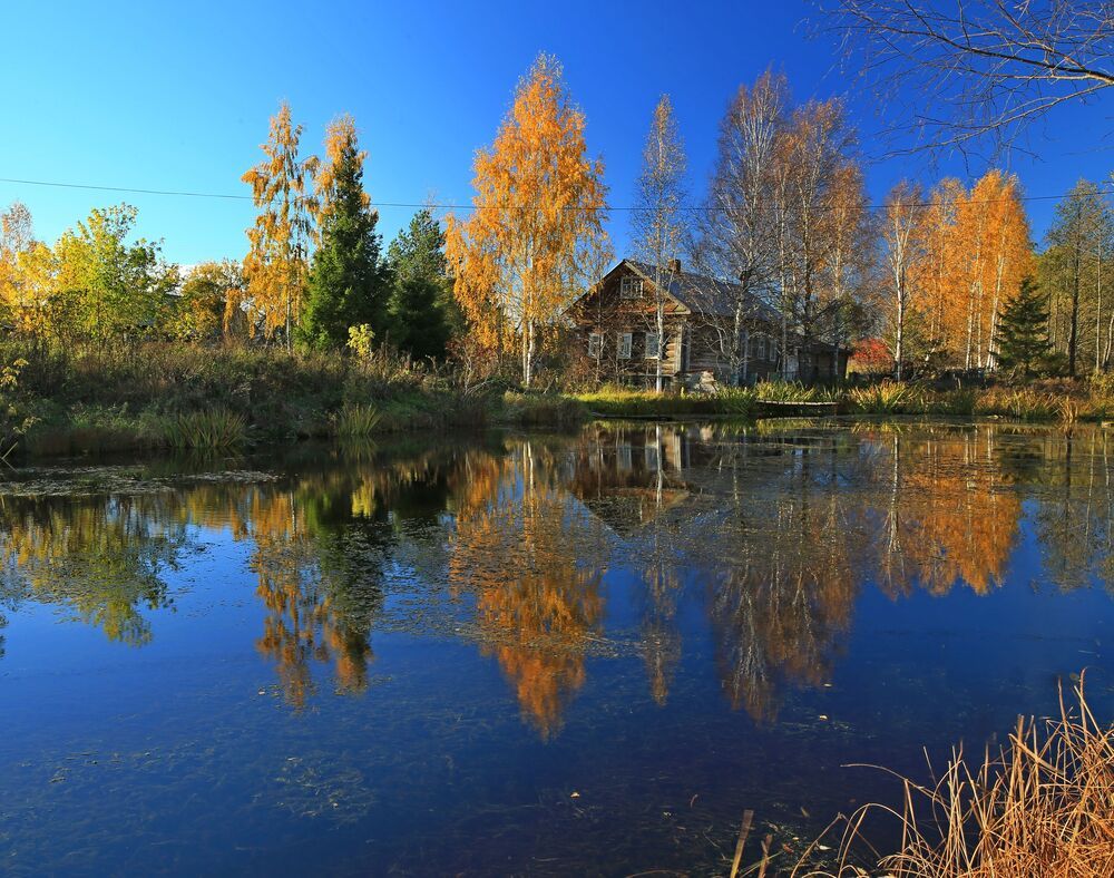 Фотография автора Юрий Кетель