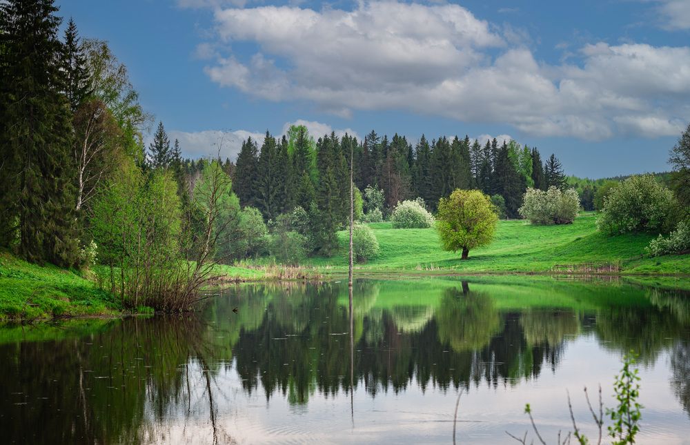 Photograph by Дмитрий Кузнецов