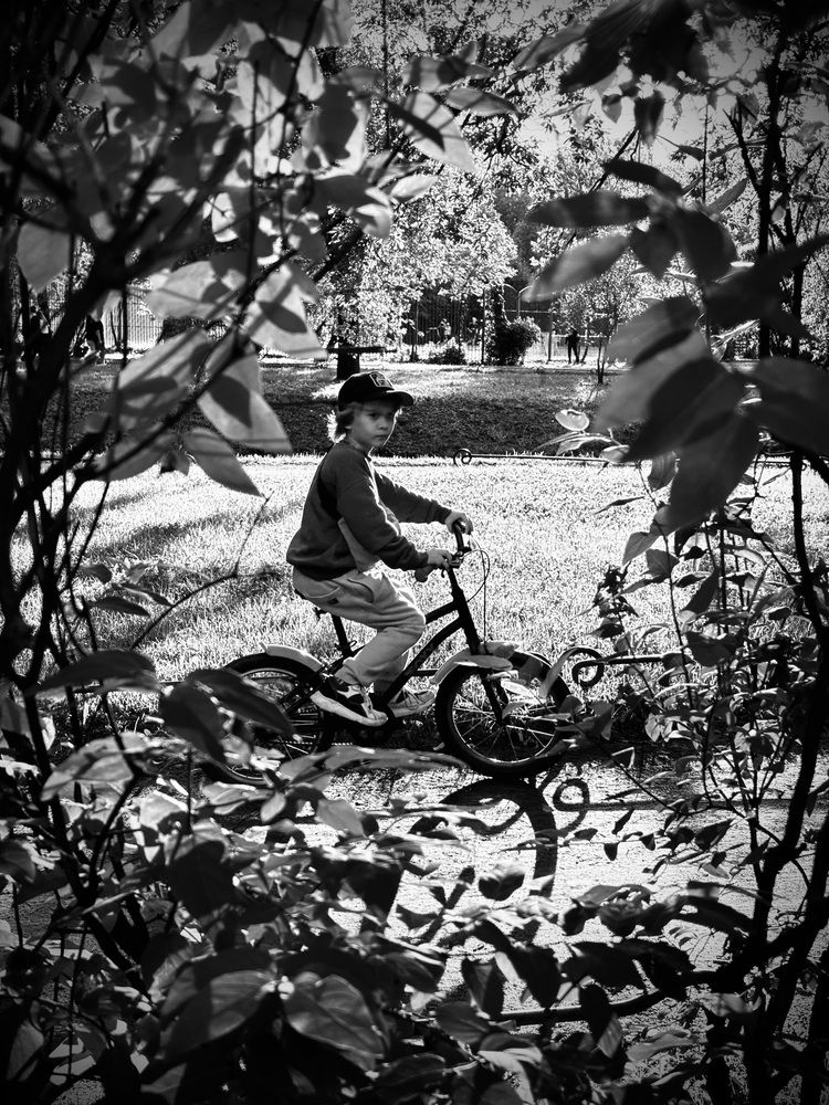 Фотография автора Alexander Solovyev