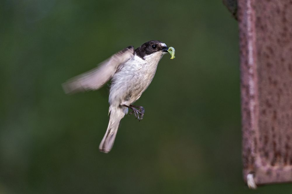 Photograph by Олег Колмаков