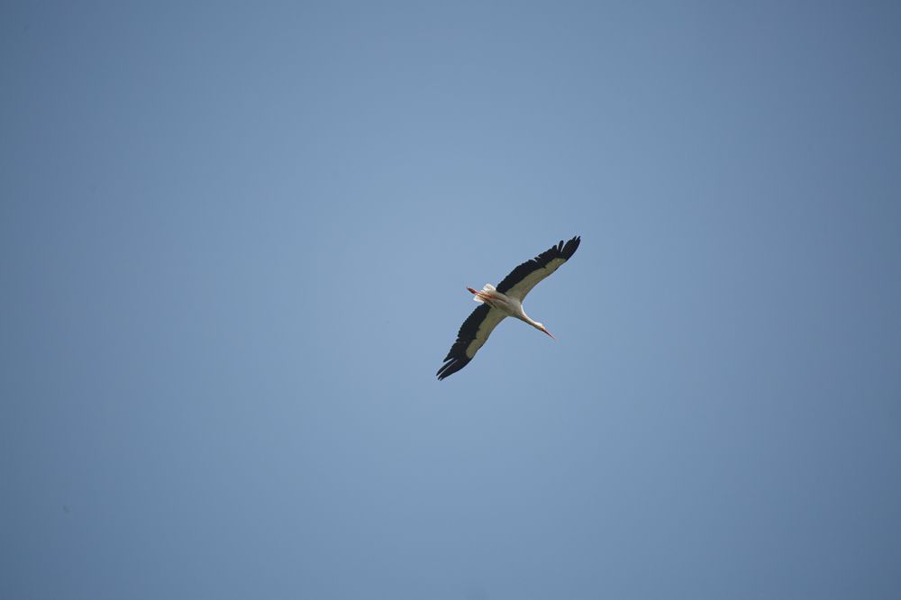 Photograph by Дарья Улюсова