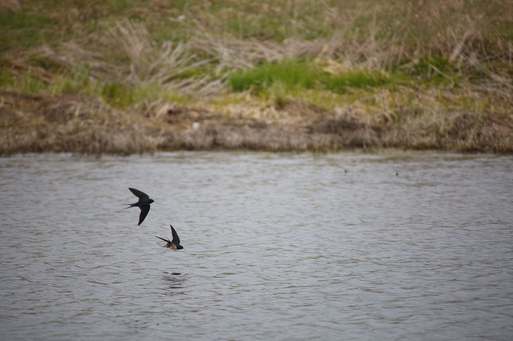Photograph by Дарья Улюсова