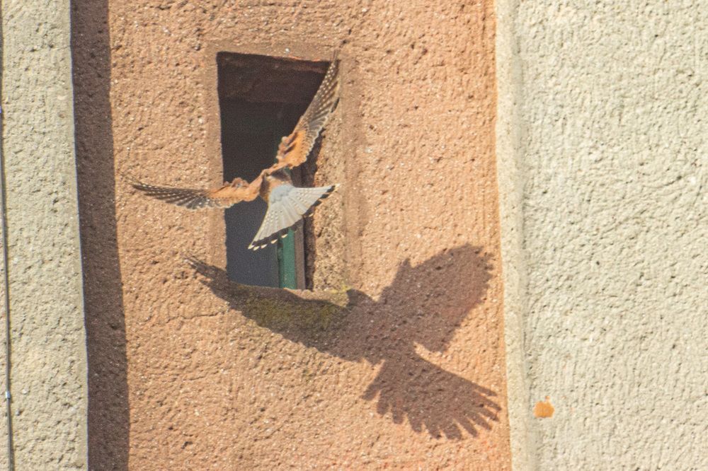 Photograph by Алексей Борисов