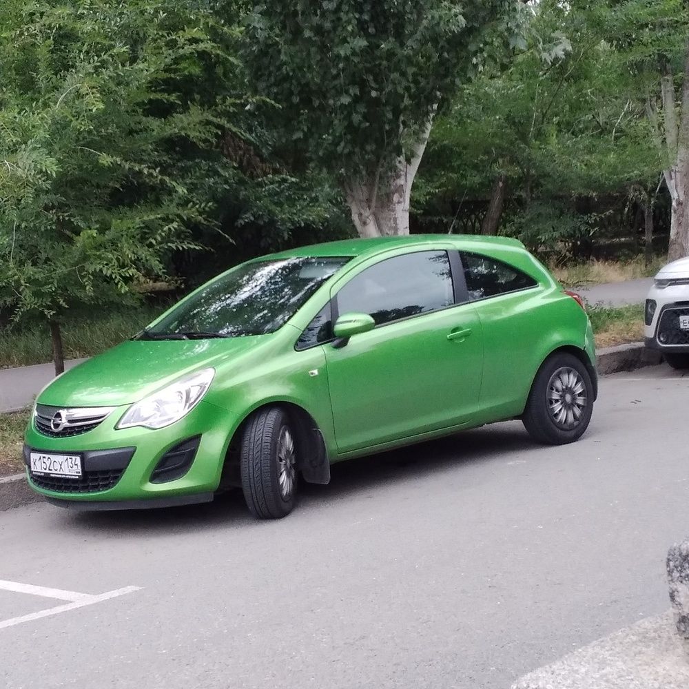 Photograph by Васильева Львовна