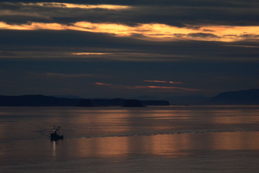 Фотография автора YURY RAMITSAN