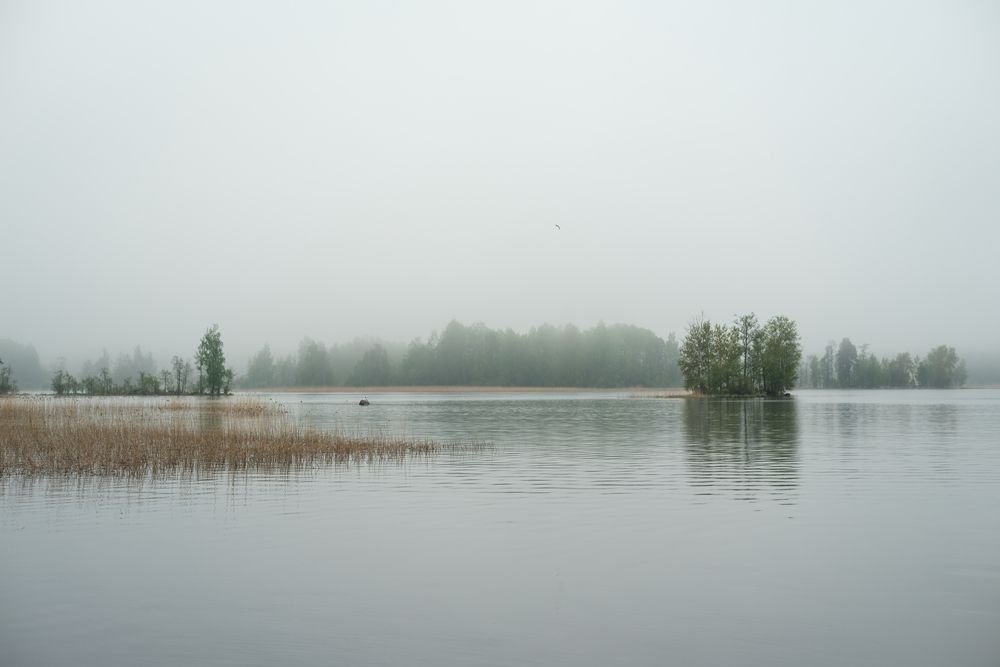 Photograph by Valentina