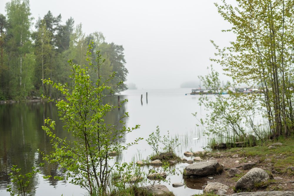 Photograph by Valentina