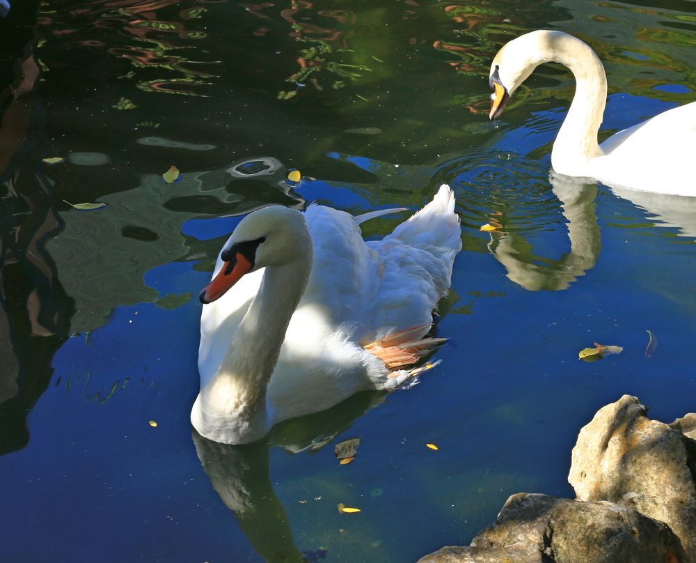 Photograph by Игорь Куленко