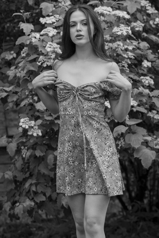 Фотография автора Alexander Lobanov