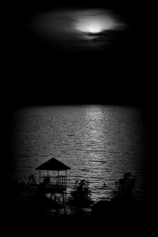 Photograph by Владимир Еремин