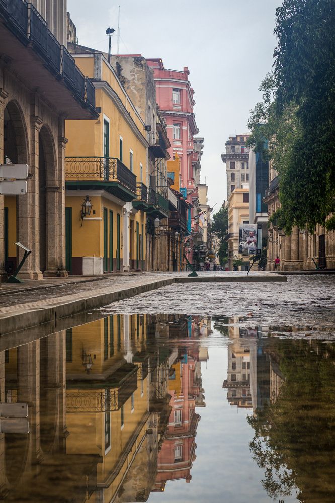 Photograph by Evelyn Carnot Montes