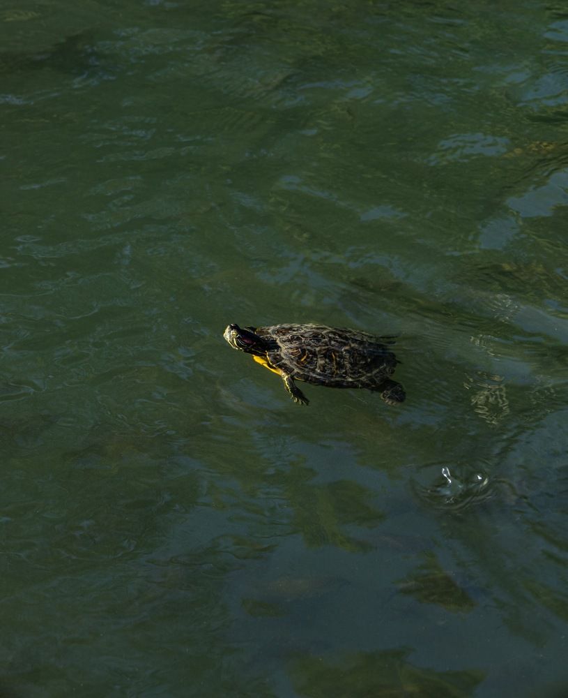 Photograph by София Серёжечкина