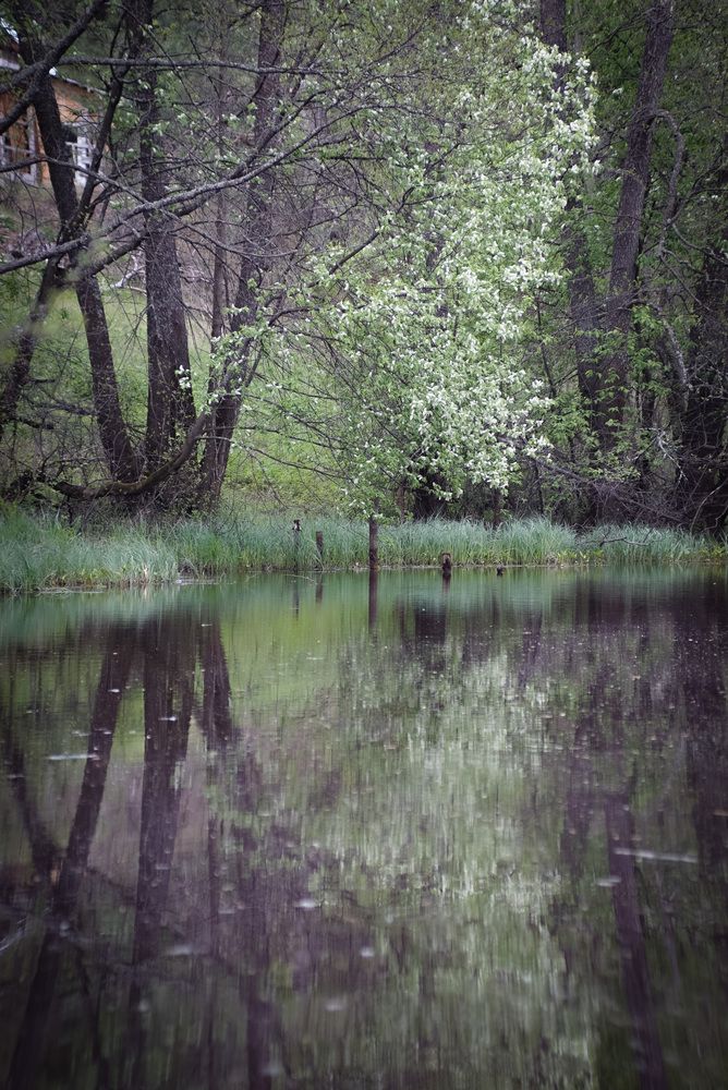 Photograph by Сергей Забиякин