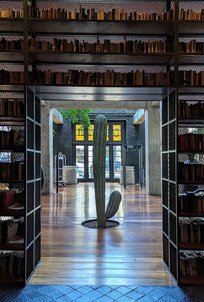 Фотография автора Елизавета