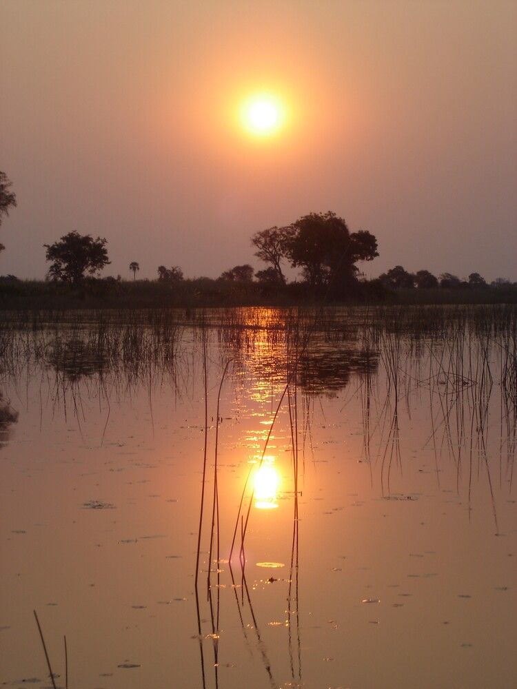 Photograph by Ирина Орлова