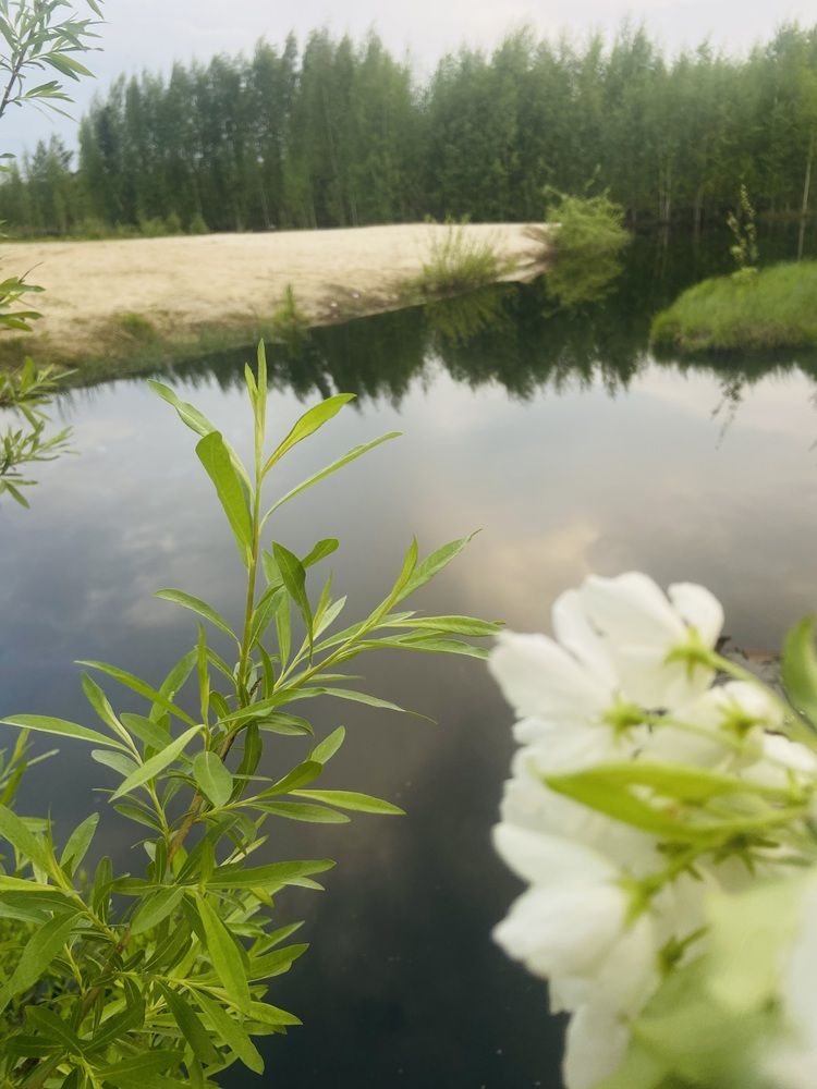 Photograph by Елена Мусина