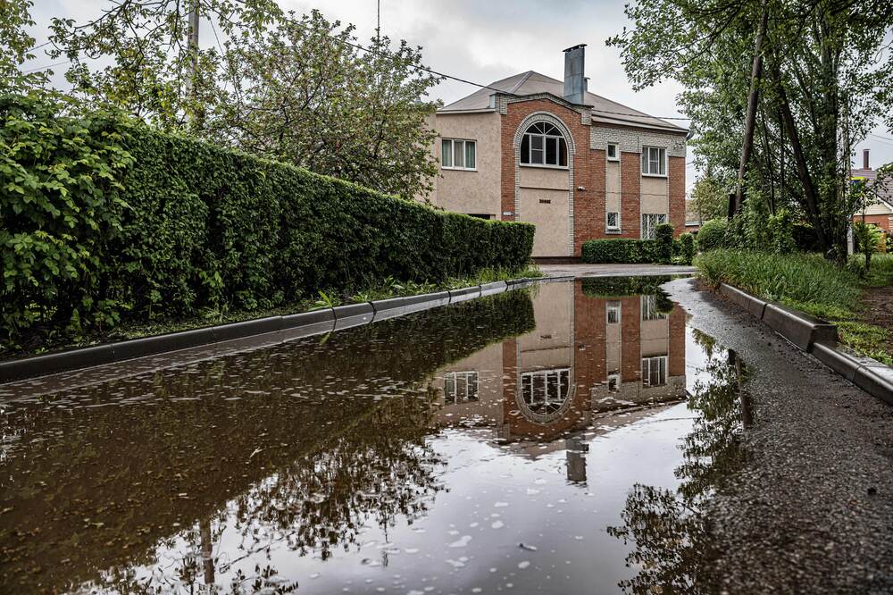 Утро после ночного дождя