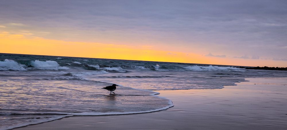 Photograph by Ziad Rizwan