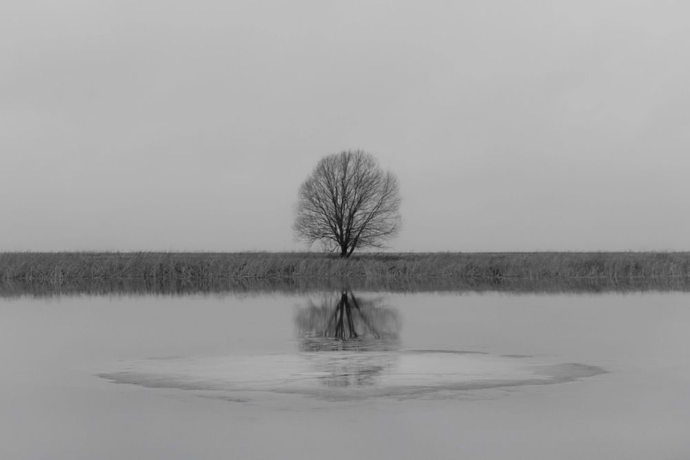 Photograph by Алексей Епишкин