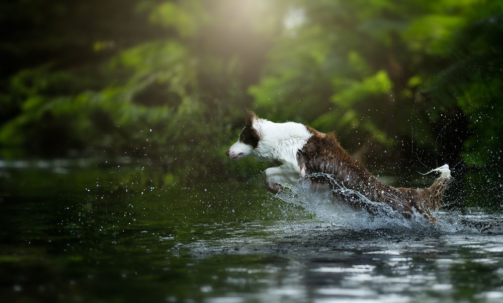 Photograph by Noa Táboas