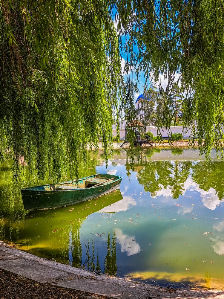 Фотография автора Ксения Смирнова