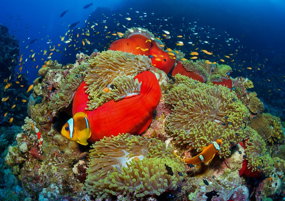 Photograph by Лисицын Сергей