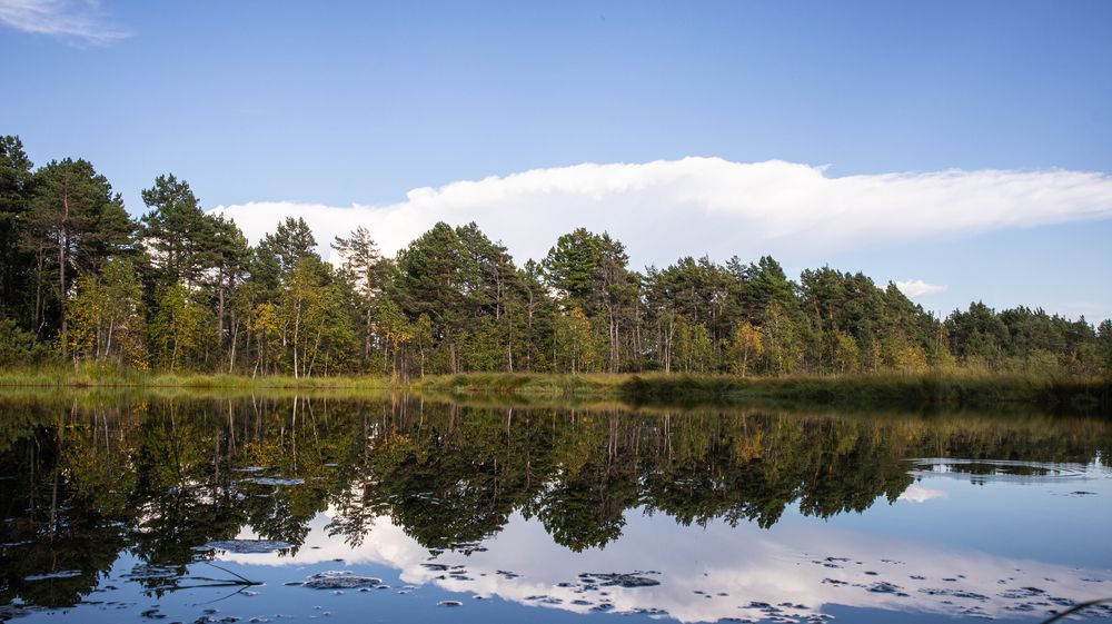 Photograph by Михаил Панфилов