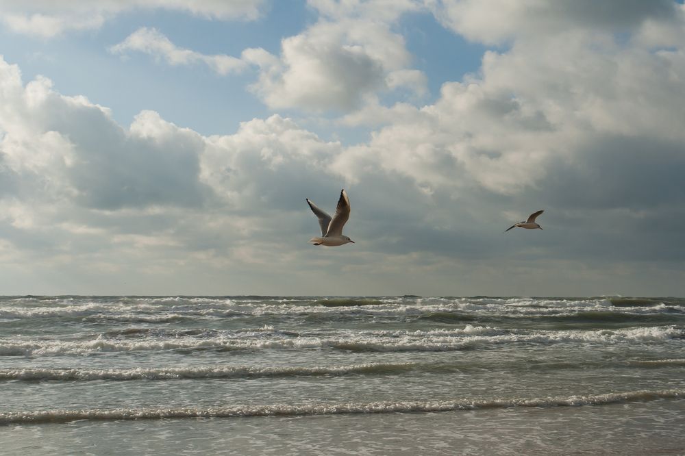 Photograph by Михаил Панфилов