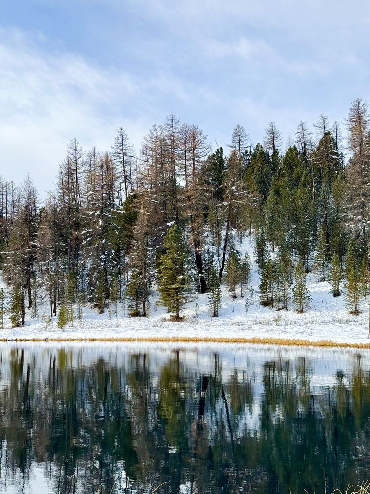 Photograph by Нина Верхотурова