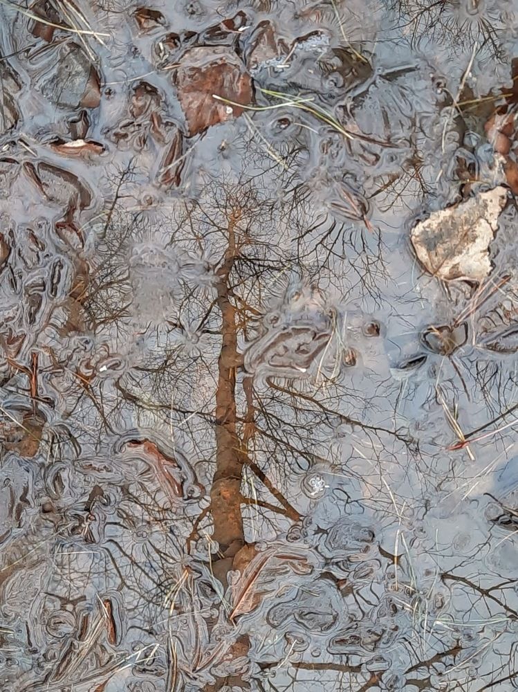 Photograph by Любовь Войтишина