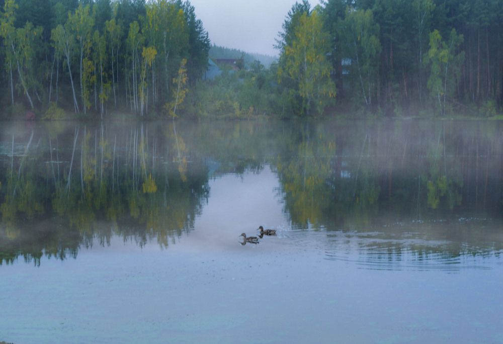Photograph by Ирина Александрович