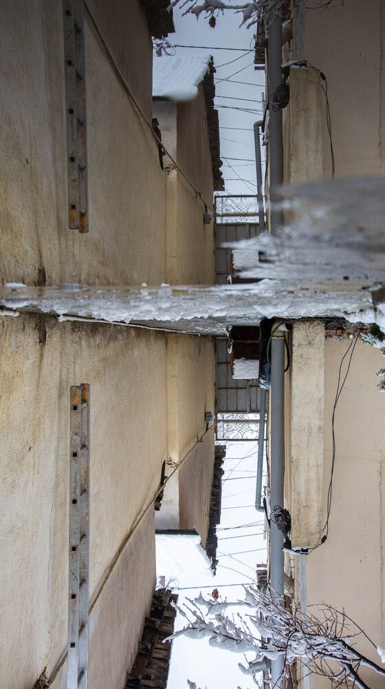 Photograph by Михаил