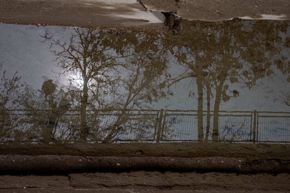 Photograph by Михаил