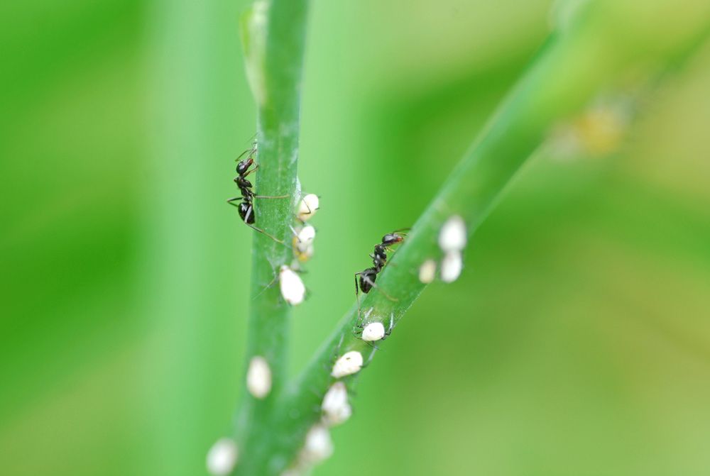 Photograph by Оксана Трофименко