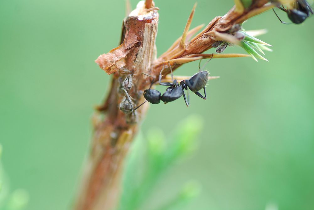 Photograph by Оксана Трофименко