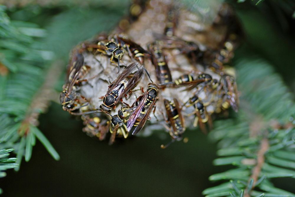 Photograph by Оксана Трофименко