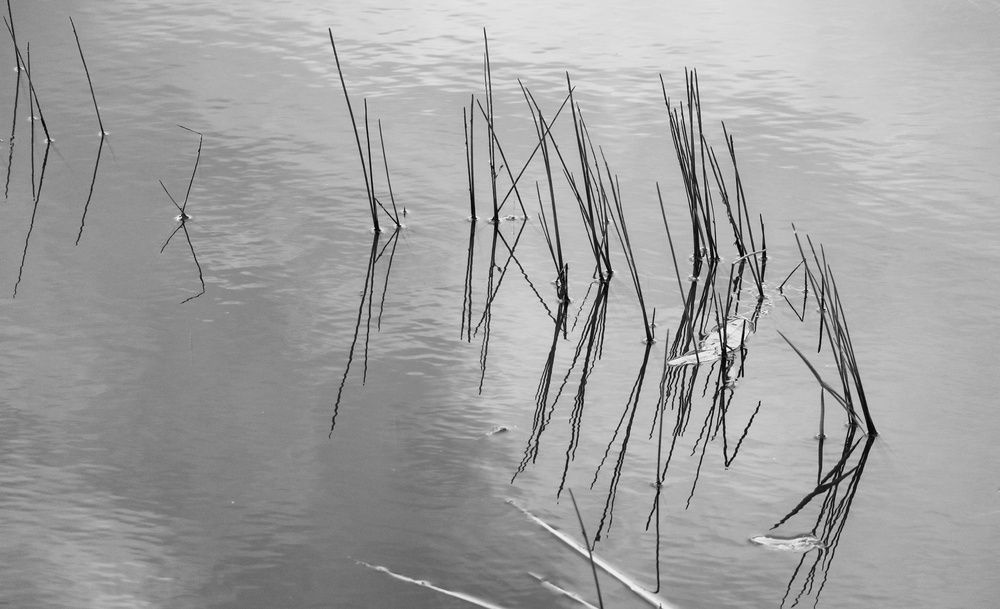 Photograph by Tatyana Pyankova