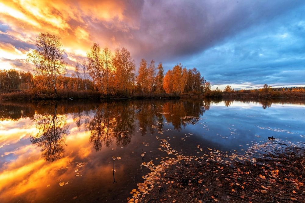 Photograph by Максим Ватрушкин